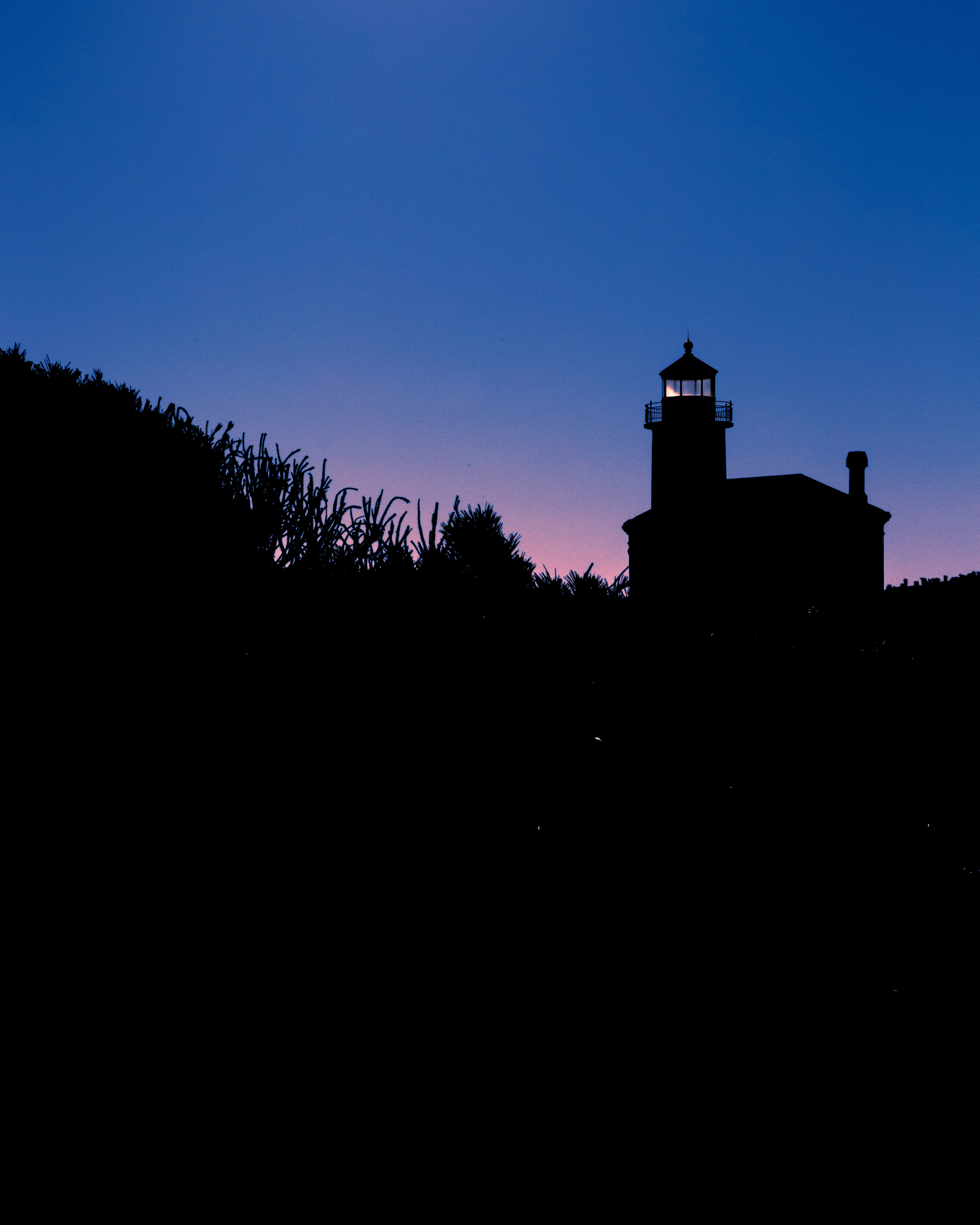 silhouette of building during night time